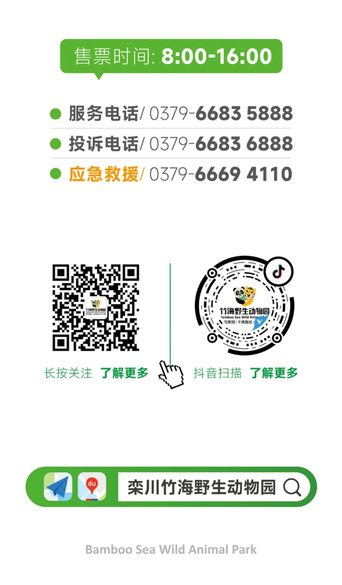 古尔邦节_08.jpg