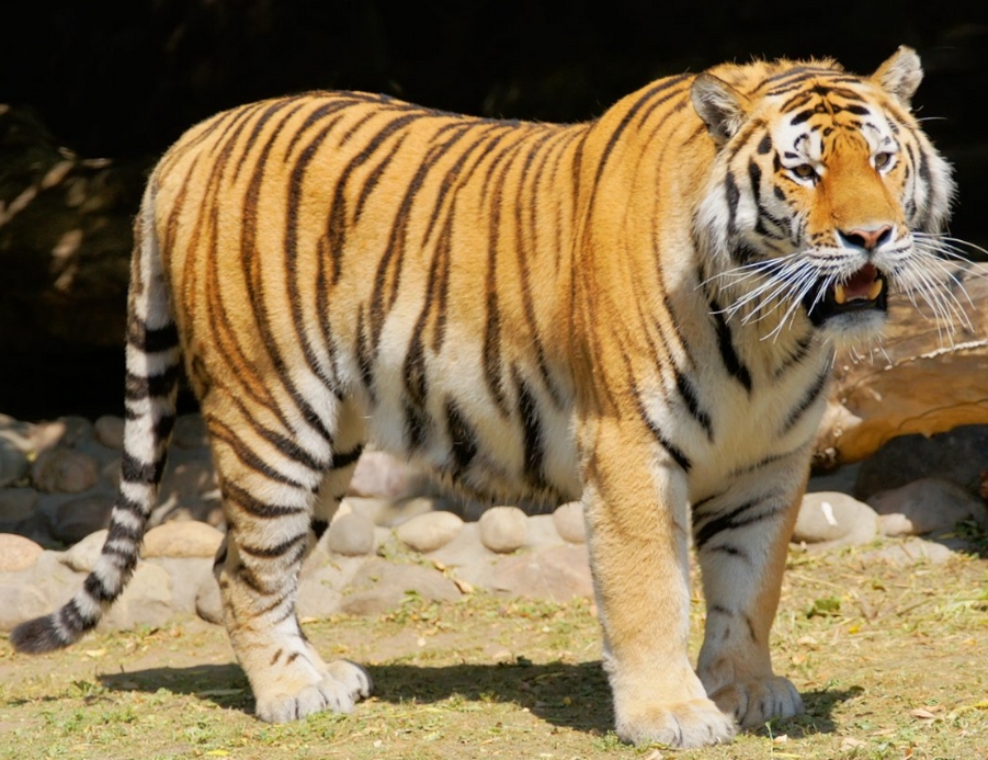 微信截图_20241213005755.png