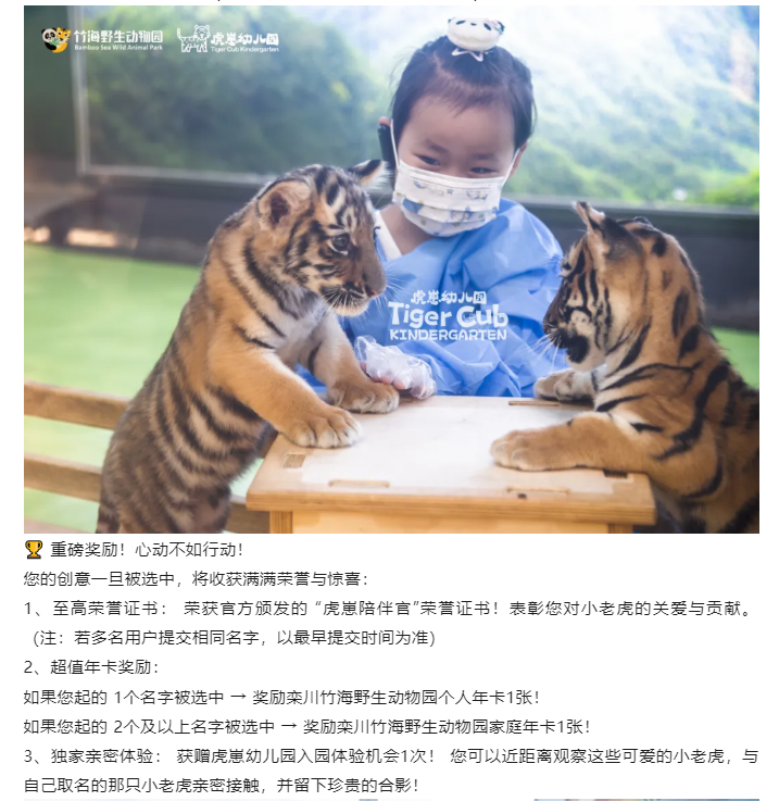 虎崽_06.jpg