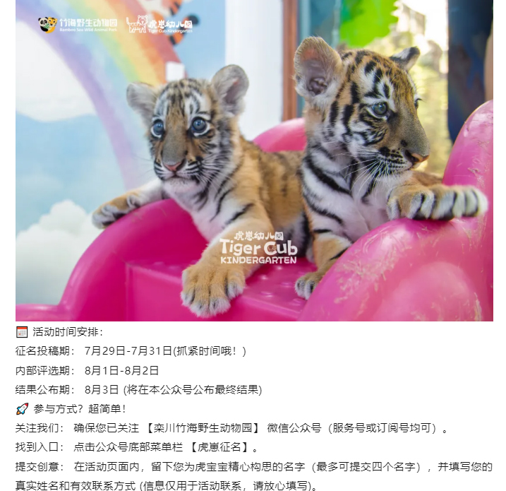 虎崽_05.jpg