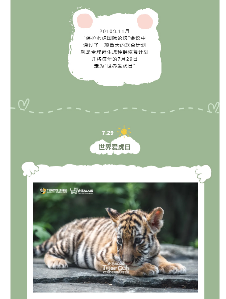 爱虎日_03.jpg